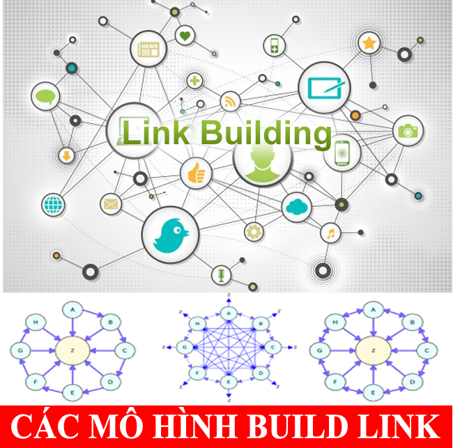 các mô hình build link